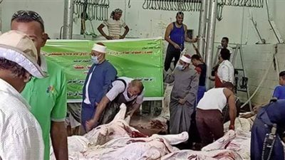 4 صور ترصد انطلاق عملية الذبح الشرعي لأضاحي الأوقاف