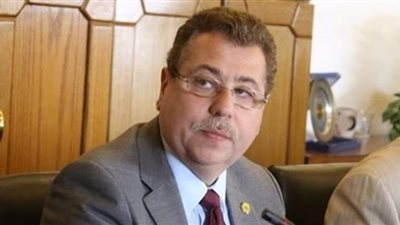 نائب رئيس الحركة الوطنية: لن نخرج عن ضوابط الدعاية الانتخابية