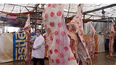 لافتات توعية واستعدادات مكثفة في المجازر لاستقبال عيد الأضحى