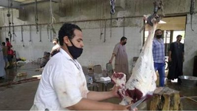 إقبال كثيف على مجزر الجبلاو في قنا  في أول أيام عيد الأضحى المبارك | صور