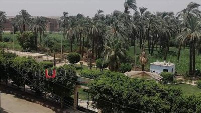 متنزهات وحدائق قنا خالية من المحتفلين في أول أيام عيد الأضحى | صور