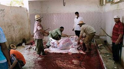 إقبال كثيف للمواطنين على ذبح الأضاحي بالمجازر ونقاط الذبيح بالوادى الجديد