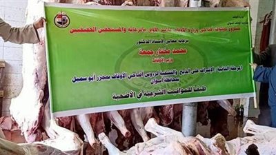 تجهيز لحوم أضاحي الأوقاف في مجزر أبي سنبل | فيديو