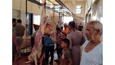 ذبح 86 أضحية في أول أيام عيد الأضحى بمجازر الوادي الجديد
