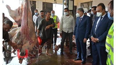محافظ المنيا، يتفقد المجزر العمومي بقرية زاوية سلطان لمتابعة سير العمل | فيديو