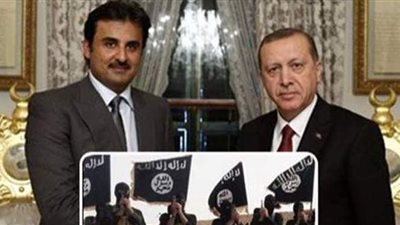 باحث: أردوغان لن ينجح في فك الحصار العربي المفروض على قطر