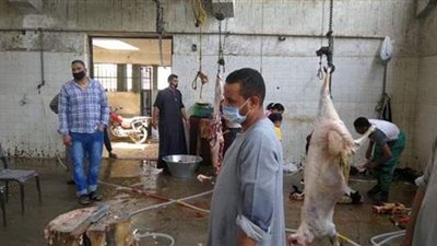 مجازر قنا تواصل ذبح الأضاحي وسط إجراءات احترازية | صور