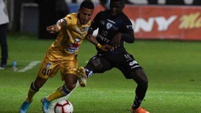 اكتشاف ٨ حالات كورونا بالدوري الاكوادوري