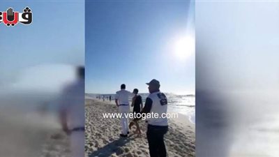 شواطئ الإسكندرية خالية من المحتفلين بعيد الأضحى.. ومطاردة المخالفين | فيديو