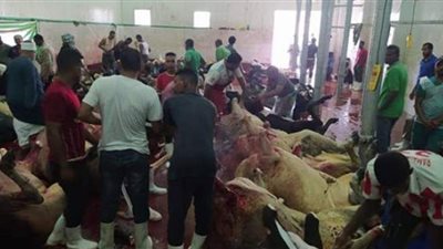 الأوقاف تتابع عملية ذبح وتجهيز الأضاحي في ثاني أيام العيد | فيديو