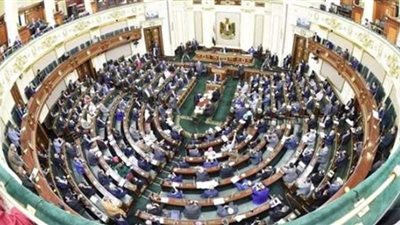 الحبس عامين وغرامة ٢٠٠ ألف جنيه.. تفاصيل مشروع قانون لمواجهة المتنمرين