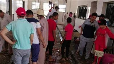 ذبح 257 أضحية بالمجان داخل مجازر ونقاط الذبيح بالوادى الجديد