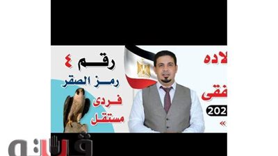 علم مصر بالمقلوب.. جدل بالمنوفية بسبب دعاية انتخابية لمرشح