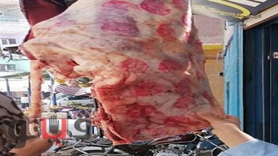 تحرير 51 محضرا وضبط 324 كيلو لحوم مذبوحة خارج المجازر  بالشرقية | صور