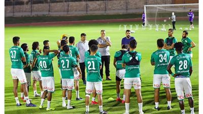 سلبية مسحة كورونا لثنائي المصري