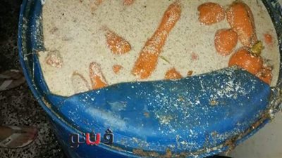 ضبط 20 برميل مخلل لاحتوائها على ديدان وحشرات بكفر الشيخ | صور