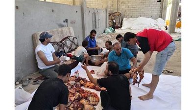 مؤسسة الشجرة بالعريش توزع ٣ أطنان لحوم ومواد غذائية على الأسر الفقيرة