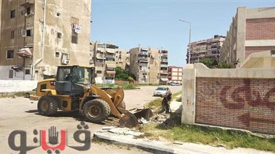 رفع ٨٠٠  طن مخلفات خلال يومين  بأحياء بورسعيد | صور