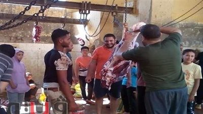 ذبح 843 أضحية بمجازر الشرقية وتحرير 7 محاضر للمخالفين | صور