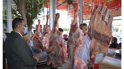 غلق ٦ منشآت وإعدام 863 كيلو مواد غذائية في حملات بالدقهلية