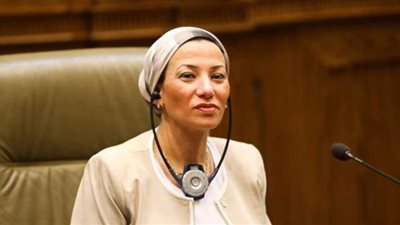 وزيرة البيئة: واقعة قتل الشباب لدولفين بأحد سواحل المغرب وليست بمصر