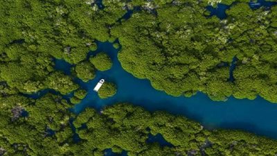 السعودية تسعى لتسجيل محمية جزر فرسان في 