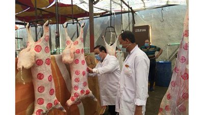بيطري الدقهلية: ذبح ٩٤٤ أضحية في المجازر  خلال ٣ أيام