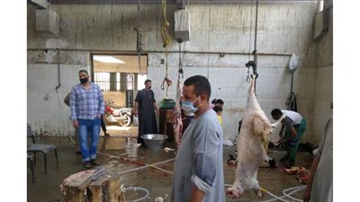 أهالي قنا يواصلون نحر الأضاحي بالمجازر في رابع أيام العيد | صور