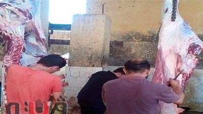 بيطري الشرقية: إصدار 3 تصاريح نقل جلود أضاحي للجمعيات الخيرية | صور