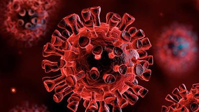 الصحة العالمية: قد لا يكون هناك حل سحري للقضاء على فيروس كورونا إطلاقا