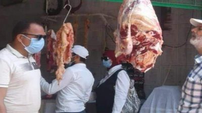 استقبال 1714 أضحية  خلال عيد الأضحى بمجازر القليوبية