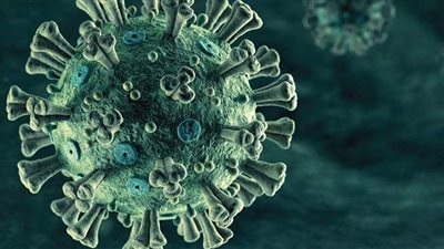 مكافحة الفيروسات: لا يوجد حل سحرى للقضاء على كورونا