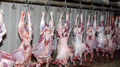 ذبح 1300 أضحية بمجازر الدقهلية خلال يومين
