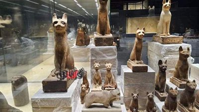 سيناريو عرض متحف شرم الشيخ.. وسبب تسمية الممر الحتحوري بهذا الأسم