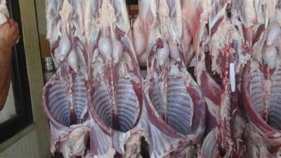 مجازر الوادي الجديد تستقبل 331 أضحية في رابع أيام عيد الأضحى