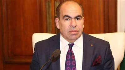 ياسر الهضيبي يحذر الناخبين من دعوات مقاطعة الانتخابات