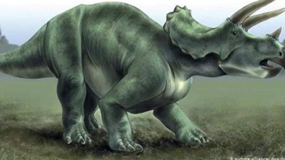 العثور على السرطان في قدم ديناصور عاش قبل 77 مليون عام