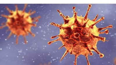 البرازيل تسجل أكثر من 51 ألف إصابة و1154 وفاة بكورونا خلال 24 ساعة