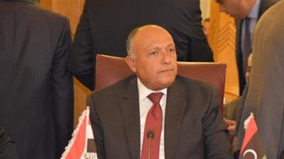 الخارجية تنشر فيديو تعريفيا بخطوات تصويت المصريين بالخارج في انتخابات الشيوخ