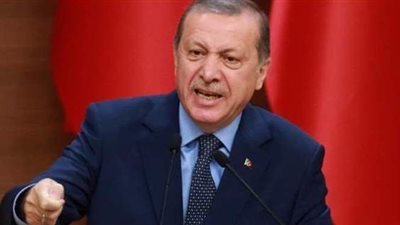 باحثة علاقات دولية: تصاعد أطماع تركيا  جرس إنذار خطير للأمة العربية ‏