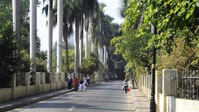 سيولة مرورية اليوم بحي الزمالك (فيديو)