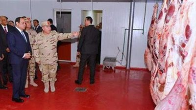 تزامنا مع تكليف الرئيس.. تفاصيل المشروعات القومية في مجال الإنتاج الحيواني المتكامل.. صور