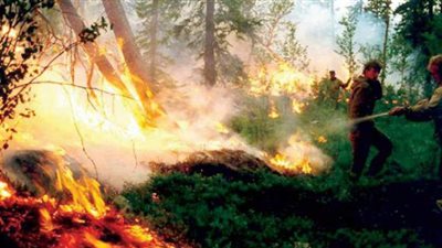 الموجات الحارة وراء زيادة حرائق غابات سيبيريا