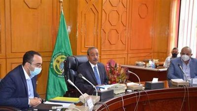 ​ تجهيز 229 لجنة فرعية لانتخابات الشيوخ بالإسماعيلية