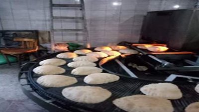 ضبط 35 مخالفة تموينية بالمخابز ومحلات بيع السلع في الدقهلية | صور