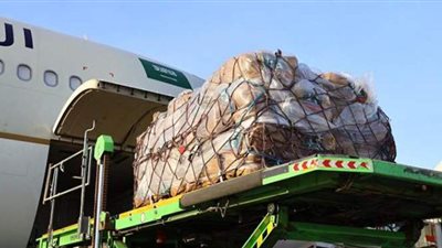 انطلاق أولى رحلات الجسر الجوي السعودي لإغاثة اللبنانيين | فيديو