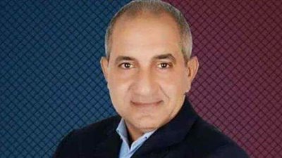 هشام راشد: مصر نجحت فى إدارة ملف قناة السويس اقتصاديا  باحتراف