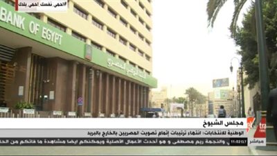 تعرف على خطوات  تصويت المصريين بالخارج  بانتخابات الشيوخ عبر البريد | فيديو