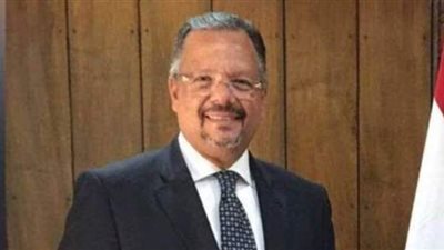 برلماني يدعو المصريين بالخارج للمشاركة في انتخابات الشيوخ