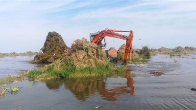 8 معلومات عن تطوير بحيرة المنزلة ومعوقات عملية التنمية بها | صور